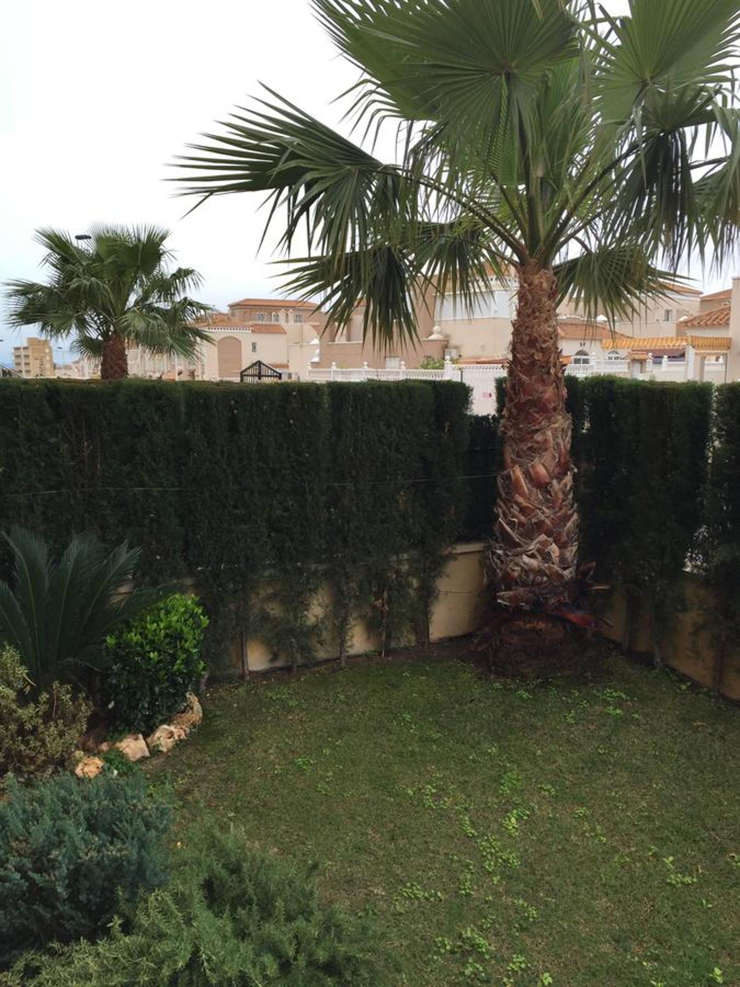 Apartment Altos De La Bahia X Τορεβιέχα Δωμάτιο φωτογραφία