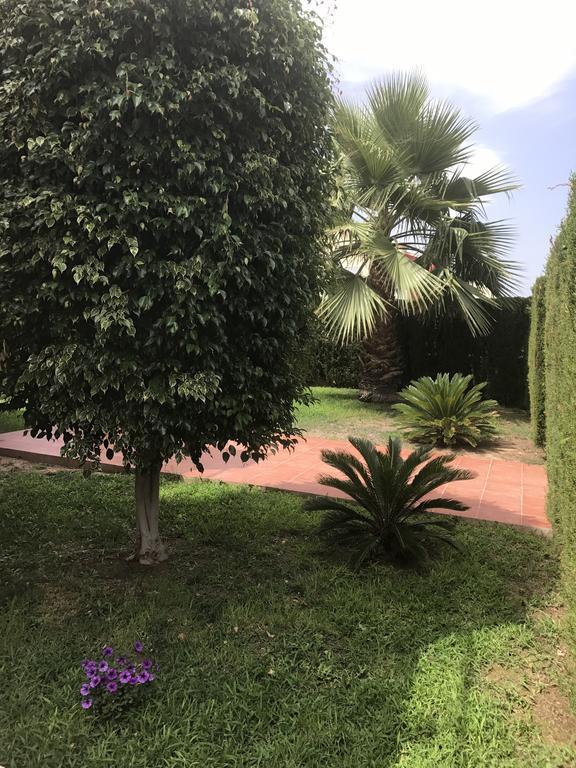 Apartment Altos De La Bahia X Τορεβιέχα Εξωτερικό φωτογραφία